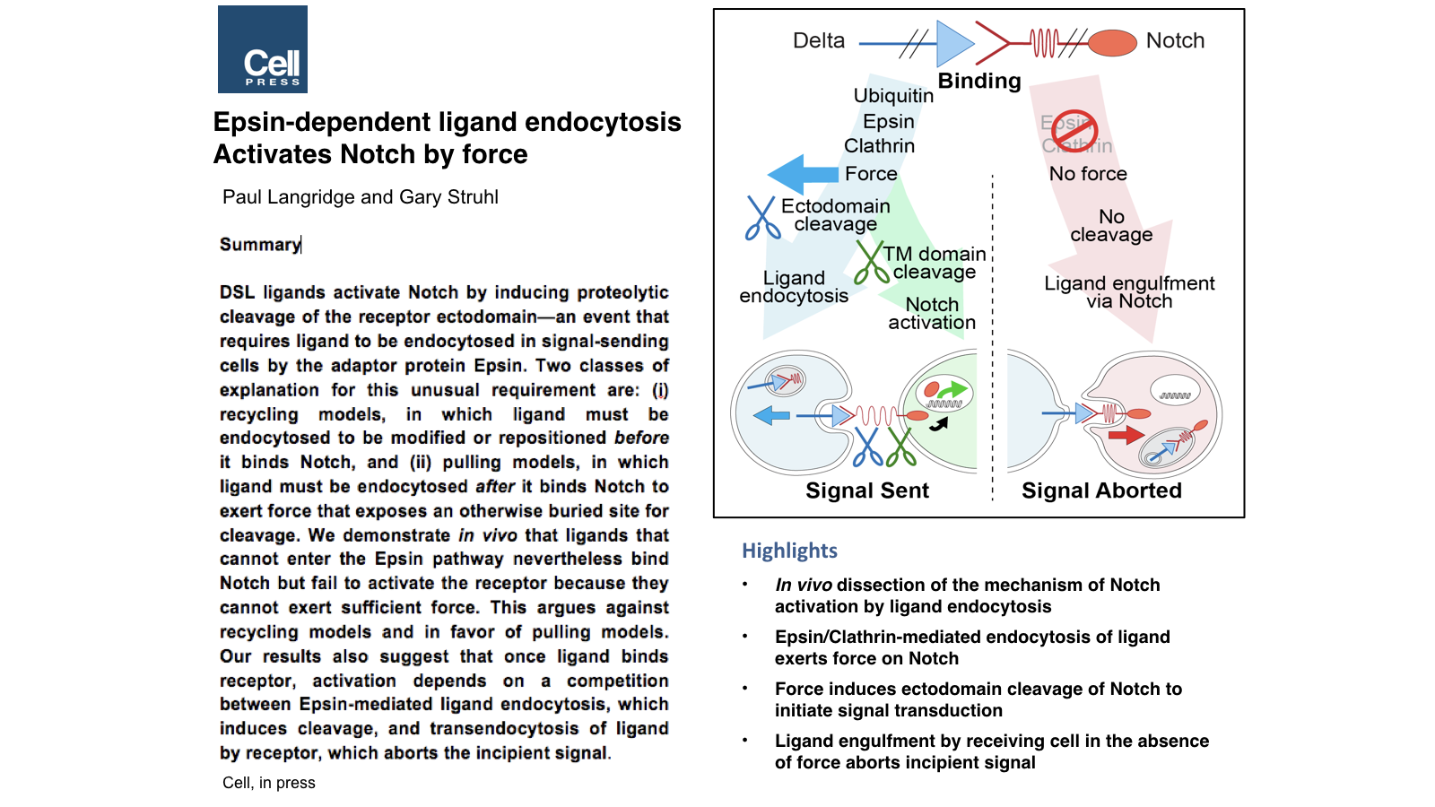 Epsin-dependent ligand endocytosis activates Notch by force