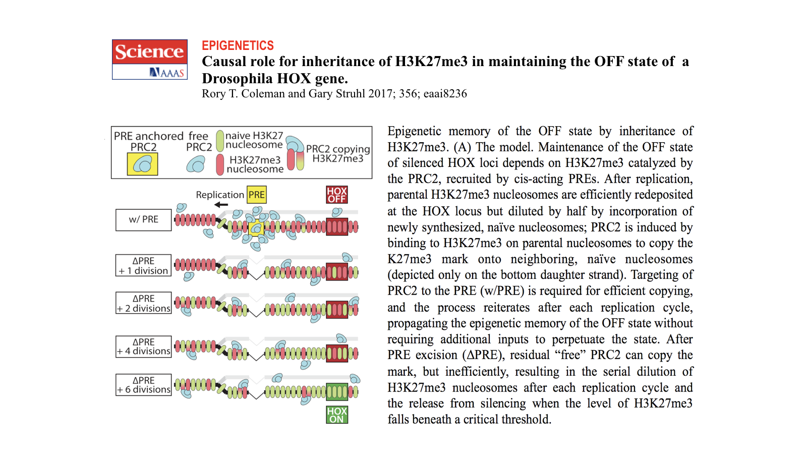 Causal role for inheritence of H3K27me3 in maintaining the OFF state of a Drosophila HOX gene