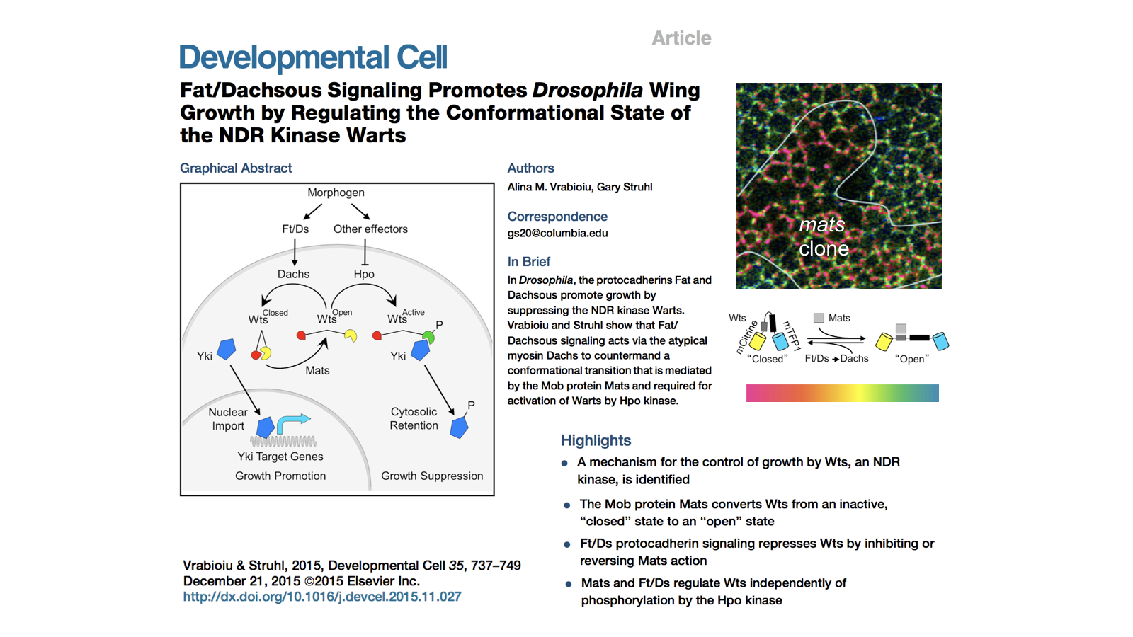 Fat/Daschaus Signaling Promotes Drosophila Wing Growth by Regulating the Conformational State of the NDR Kinase Warts