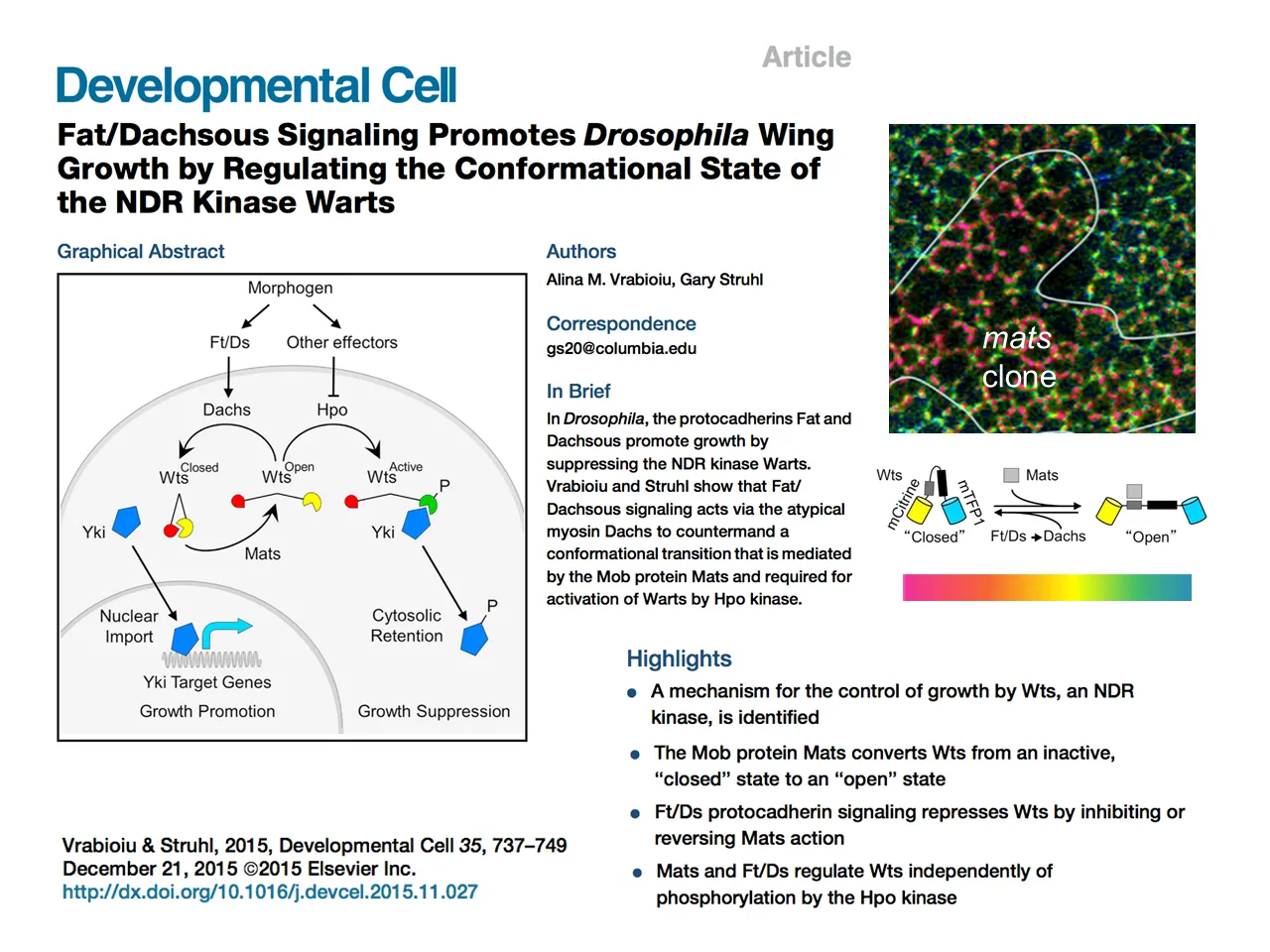 Developmental CellFat/Dachsous Signaling Promotes Drosophila Wing Growth by Regulating the Conformational State of the NDR Kinase Warts